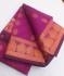 PL EMBOSS SAREE